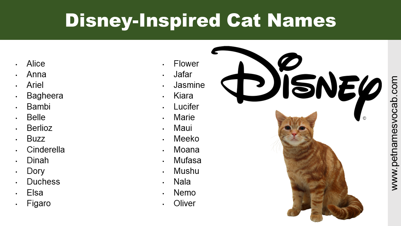 Disney Names for Cat